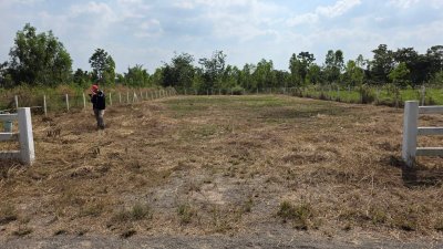 ที่ดินปรับถมแล้ว 300ตร.วา 490,000.- ต.รางบัว อ.จอมบึง จ.ราชบุรี