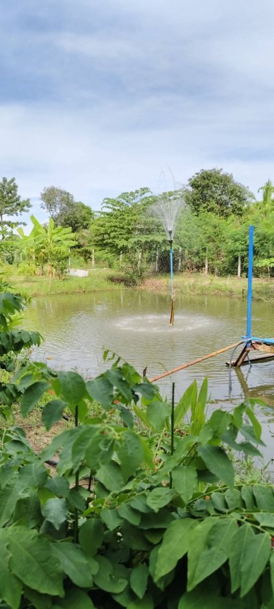 บ้านพร้อมที่ดินติดถนนลาดยาง มีคลองน้ำสาธารณะล้อม ต.เขาขลุง อ.บ้านโป่ง จ.ราชบุรี