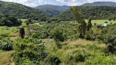 ที่ดินแปลงนี้สวย ติดถนน 5 ไร่ ขาย2.9ล้าน อำเภอสวนผึ้ง ราชบุรี