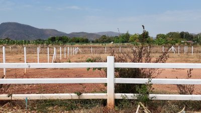 ที่ดินวิวเขา ติดถนนลาดยาง ที่ดินโฉนด ไฟฟ้า น้ำประปา ล้อมรั้ว