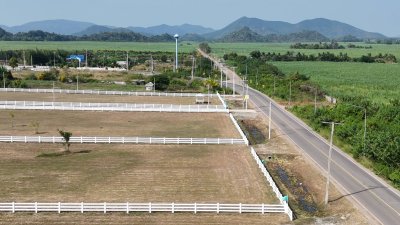 ที่ดิน 12ไร่ 3งาน 46ตร.วา ต.หนองกวาง อ.โพธาราม จ.ราชบุรี