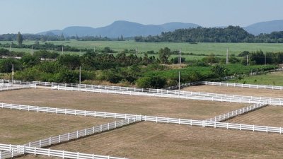 ที่ดิน 12ไร่ 3งาน 46ตร.วา ต.หนองกวาง อ.โพธาราม จ.ราชบุรี