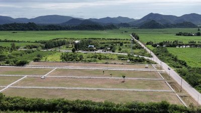 ที่ดิน 12ไร่ 3งาน 46ตร.วา ต.หนองกวาง อ.โพธาราม จ.ราชบุรี