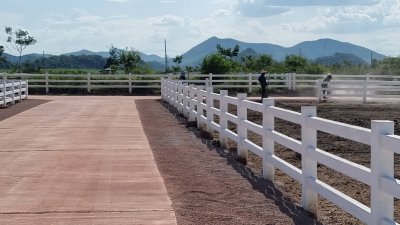 ที่ดิน 12ไร่ 3งาน 46ตร.วา ต.หนองกวาง อ.โพธาราม จ.ราชบุรี