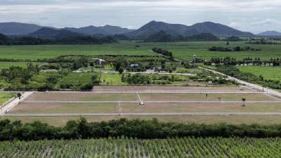 ที่ดิน 12ไร่ 3งาน 46ตร.วา ต.หนองกวาง อ.โพธาราม จ.ราชบุรี