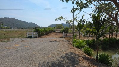 แปลงนี้สวย ริมคลองชลประทาน ต.เขาแร้ง อ.เมืองราชบุรี จ.ราชบุรี