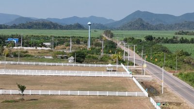 ที่ดิน 12ไร่ 3งาน 46ตร.วา ต.หนองกวาง อ.โพธาราม จ.ราชบุรี