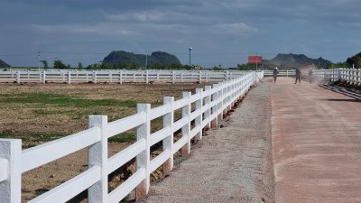 ที่ดิน 12ไร่ 3งาน 46ตร.วา ต.หนองกวาง อ.โพธาราม จ.ราชบุรี