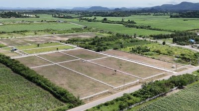 ที่ดิน 12ไร่ 3งาน 46ตร.วา ต.หนองกวาง อ.โพธาราม จ.ราชบุรี