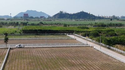 ที่ดิน 12ไร่ 3งาน 46ตร.วา ต.หนองกวาง อ.โพธาราม จ.ราชบุรี