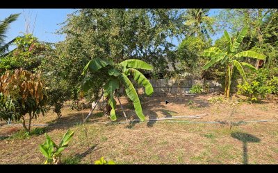 บ้านพร้อมที่ดิน 315 ตารางวา ต.ปากช่อง อ.จอมบึง จ.ราชบุรี