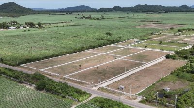 ที่ดิน 12ไร่ 3งาน 46ตร.วา ต.หนองกวาง อ.โพธาราม จ.ราชบุรี