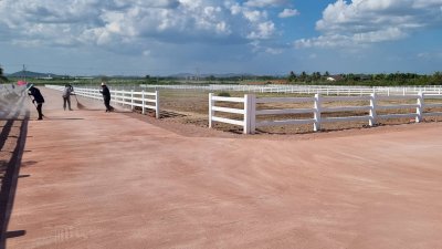 ที่ดิน 12ไร่ 3งาน 46ตร.วา ต.หนองกวาง อ.โพธาราม จ.ราชบุรี