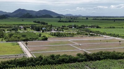 ที่ดิน 12ไร่ 3งาน 46ตร.วา ต.หนองกวาง อ.โพธาราม จ.ราชบุรี