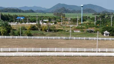 ที่ดิน 12ไร่ 3งาน 46ตร.วา ต.หนองกวาง อ.โพธาราม จ.ราชบุรี