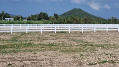 ที่ดิน 12ไร่ 3งาน 46ตร.วา ต.หนองกวาง อ.โพธาราม จ.ราชบุรี