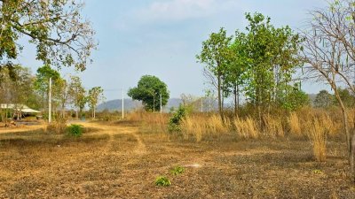 ขายที่ดิน โลเคชั่นทะเลหมอก แบ่งขาย 10 ไร่ขั้นต่ำ