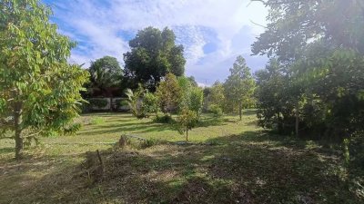 ขายบ้านสวน บ้านไม้ และสวนผลไม้ ทุเรียน เงาะ ลองกอง มังคุด