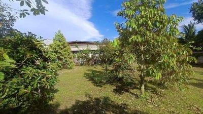 ขายบ้านสวน บ้านไม้ และสวนผลไม้ ทุเรียน เงาะ ลองกอง มังคุด