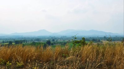 ขายที่ดิน โลเคชั่นทะเลหมอก แบ่งขาย 10 ไร่ขั้นต่ำ