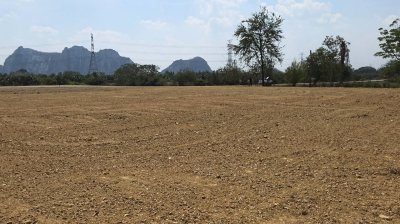 ที่ดินเลียบถนนริมคลอง หน้าทิศใต้ได้ไอน้ำและวิวเขา ปรับถมเสมอถนน ทำสเตย์กั้นดินแข็งแรง