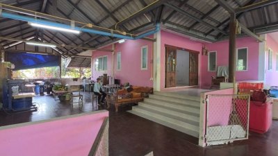 บ้านสวน ริมคลองชลประทาน ติดถนนลาดยาง 1ไร่