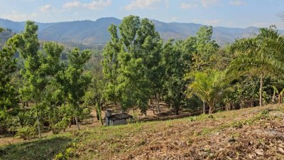 ที่ดินชายเขา วิวตะนาวศรี แหล่งชุมชน ใกล้แหล่งท่องเที่ยวสวนผึ้ง ,ระบบสาธารณูปโภค