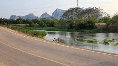 ที่ดินเลียบถนนริมคลอง หน้าทิศใต้ได้ไอน้ำและวิวเขา ปรับถมเสมอถนน ทำสเตย์กั้นดินแข็งแรง