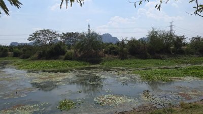 ที่ดินเลียบถนนริมคลอง หน้าทิศใต้ได้ไอน้ำและวิวเขา ปรับถมเสมอถนน ทำสเตย์กั้นดินแข็งแรง