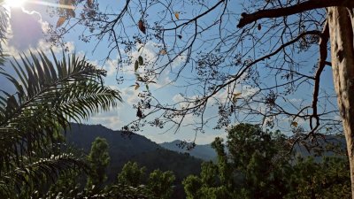 ที่ดินชายเขา วิวตะนาวศรี แหล่งชุมชน ใกล้แหล่งท่องเที่ยวสวนผึ้ง ,ระบบสาธารณูปโภค