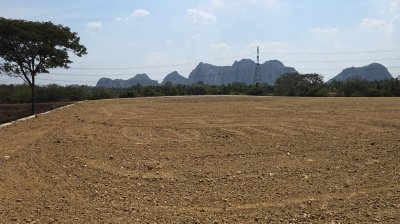 ที่ดินเลียบถนนริมคลอง หน้าทิศใต้ได้ไอน้ำและวิวเขา ปรับถมเสมอถนน ทำสเตย์กั้นดินแข็งแรง