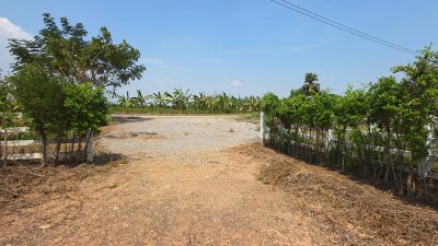 แปลงนี้สวย ริมคลองชลประทาน ต.เขาแร้ง อ.เมืองราชบุรี จ.ราชบุรี