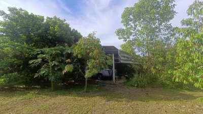 ขายบ้านสวน บ้านไม้ และสวนผลไม้ ทุเรียน เงาะ ลองกอง มังคุด