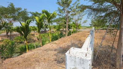 แปลงนี้สวย ริมคลองชลประทาน ต.เขาแร้ง อ.เมืองราชบุรี จ.ราชบุรี