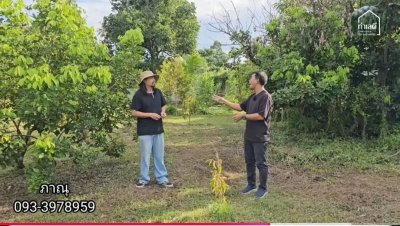 ขายบ้านสวน บ้านไม้ และสวนผลไม้ ทุเรียน เงาะ ลองกอง มังคุด