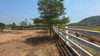 แปลงนี้สวย ริมคลองชลประทาน ต.เขาแร้ง อ.เมืองราชบุรี จ.ราชบุรี