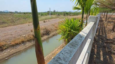 แปลงนี้สวย ริมคลองชลประทาน ต.เขาแร้ง อ.เมืองราชบุรี จ.ราชบุรี