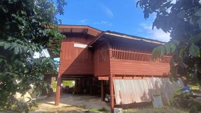 ขายบ้านสวน บ้านไม้ และสวนผลไม้ ทุเรียน เงาะ ลองกอง มังคุด