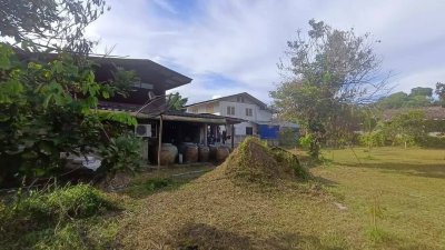 ขายบ้านสวน บ้านไม้ และสวนผลไม้ ทุเรียน เงาะ ลองกอง มังคุด