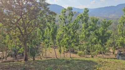 ที่ดินชายเขา วิวตะนาวศรี แหล่งชุมชน ใกล้แหล่งท่องเที่ยวสวนผึ้ง ,ระบบสาธารณูปโภค