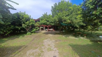 ขายบ้านสวน บ้านไม้ และสวนผลไม้ ทุเรียน เงาะ ลองกอง มังคุด