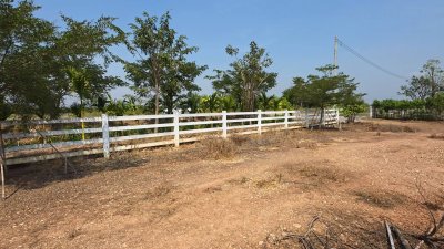 แปลงนี้สวย ริมคลองชลประทาน ต.เขาแร้ง อ.เมืองราชบุรี จ.ราชบุรี