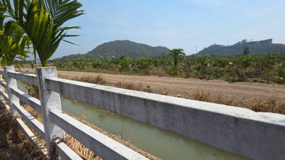 แปลงนี้สวย ริมคลองชลประทาน ต.เขาแร้ง อ.เมืองราชบุรี จ.ราชบุรี