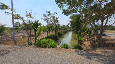 แปลงนี้สวย ริมคลองชลประทาน ต.เขาแร้ง อ.เมืองราชบุรี จ.ราชบุรี