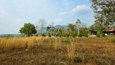 ขายที่ดิน โลเคชั่นทะเลหมอก แบ่งขาย 10 ไร่ขั้นต่ำ