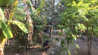 บ้านสวน ริมคลองชลประทาน ติดถนนลาดยาง 1ไร่