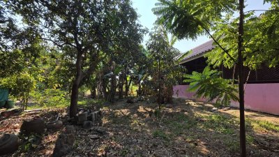 บ้านสวน ริมคลองชลประทาน ติดถนนลาดยาง 1ไร่