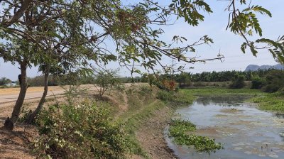 ที่ดินเลียบถนนริมคลอง หน้าทิศใต้ได้ไอน้ำและวิวเขา ปรับถมเสมอถนน ทำสเตย์กั้นดินแข็งแรง