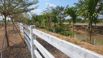 แปลงนี้สวย ริมคลองชลประทาน ต.เขาแร้ง อ.เมืองราชบุรี จ.ราชบุรี