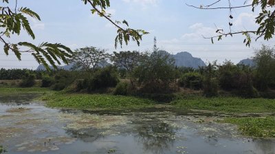 ที่ดินเลียบถนนริมคลอง หน้าทิศใต้ได้ไอน้ำและวิวเขา ปรับถมเสมอถนน ทำสเตย์กั้นดินแข็งแรง